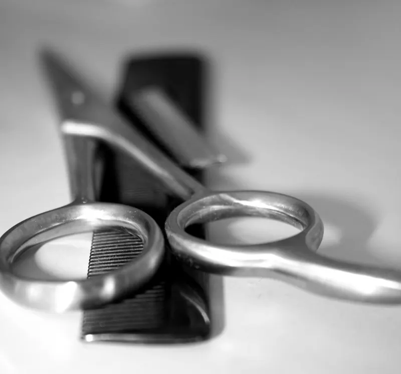 Professional hair-cutting shears