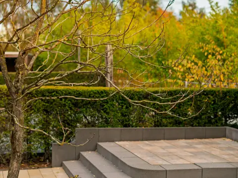 Curved stone steps leading to a patio